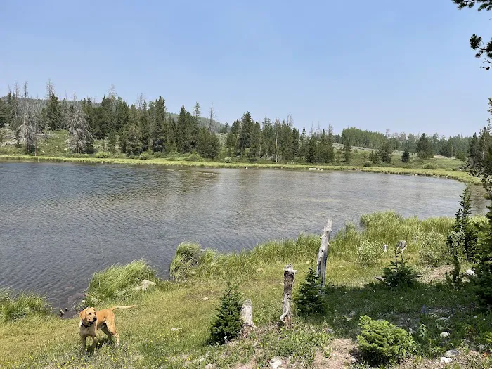 Little Lyman Lake Campground 9