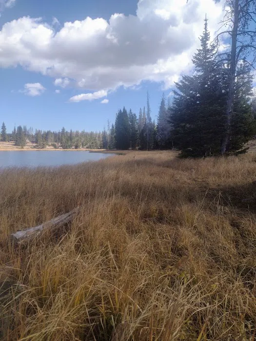 Little Lyman Lake Campground 8