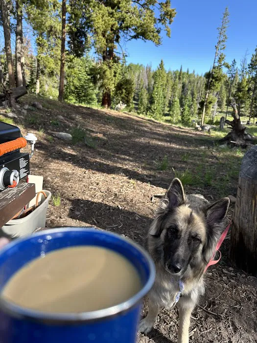 Little Lyman Lake Campground 7