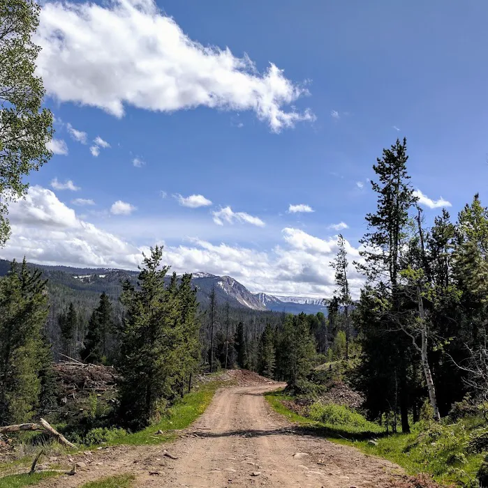 Little Lyman Lake Campground 6
