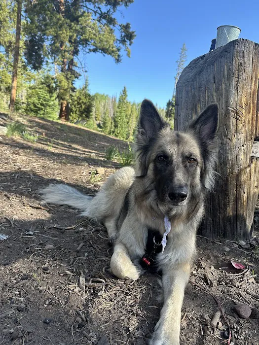 Little Lyman Lake Campground 3