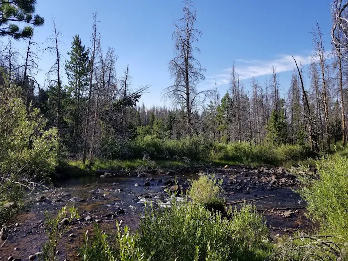 Henrys Fork Campground 3