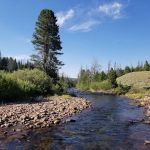 Henrys Fork Campground
