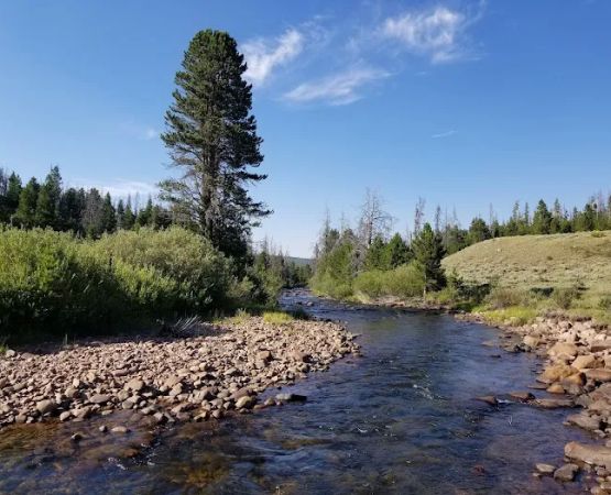 Henrys Fork Campground