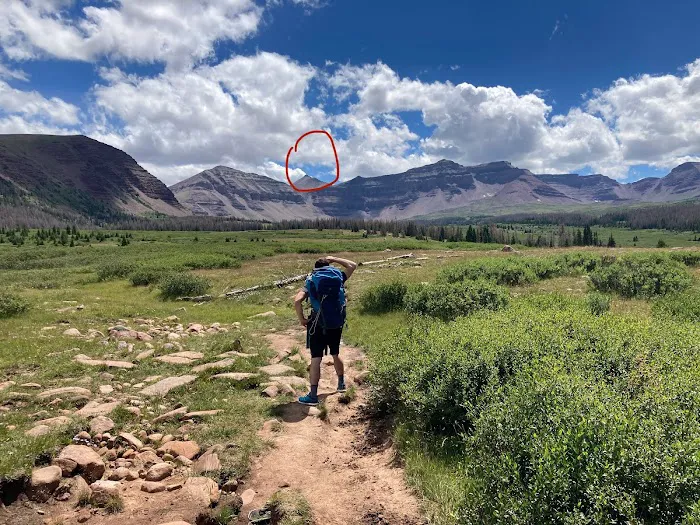 Henrys Fork Campground 5
