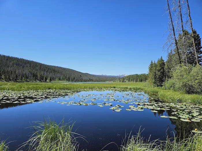 Bridger Lake Campground 0