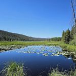 Bridger Lake Campground