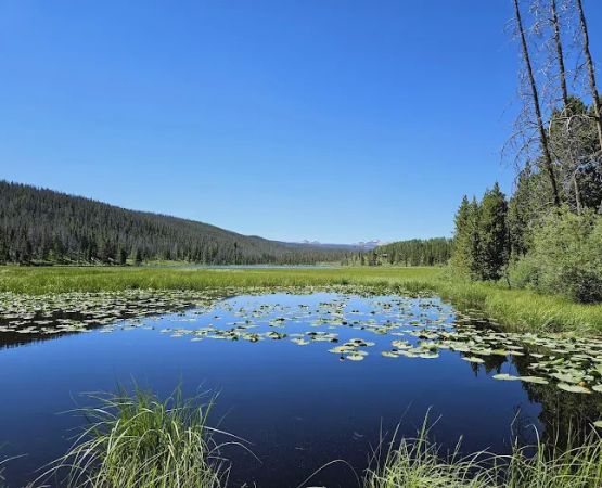 Bridger Lake Campground