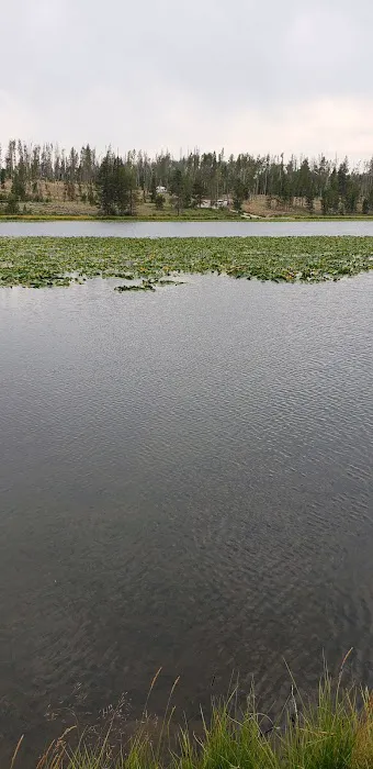Bridger Lake Campground 4