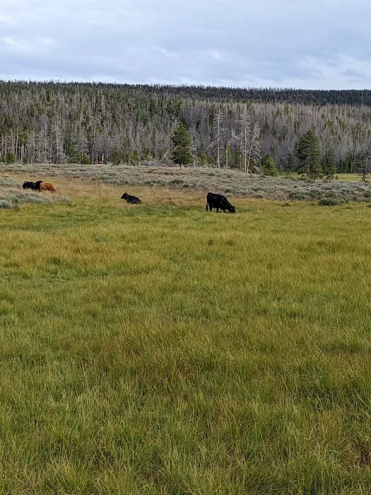 Bridger Lake Campground 1
