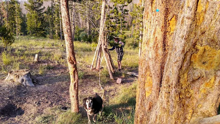 Bridger Lake Campground 2