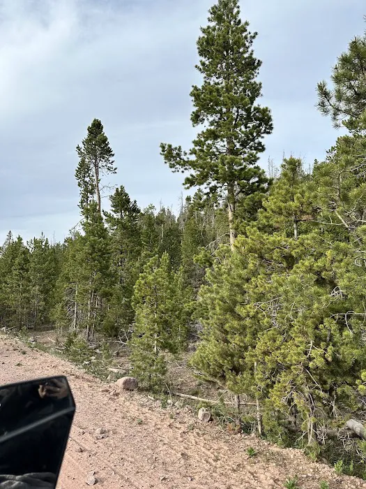 East Marsh Lake Campground 7