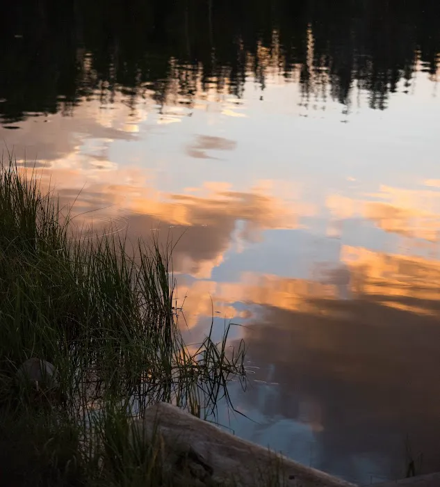 East Marsh Lake Campground 6