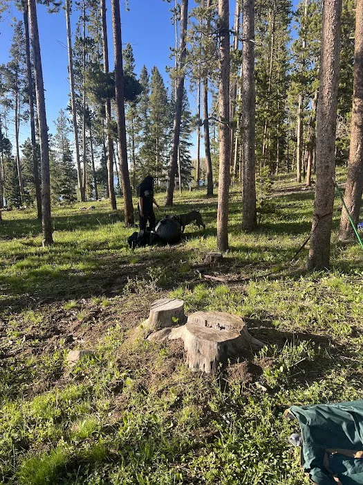 East Marsh Lake Campground 8