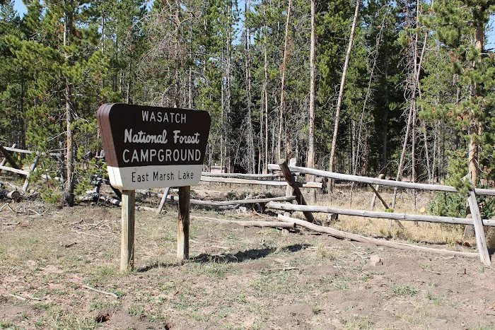 East Marsh Lake Campground 3
