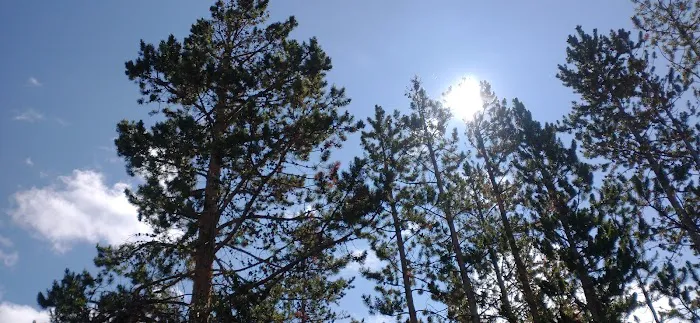 East Marsh Lake Campground 1