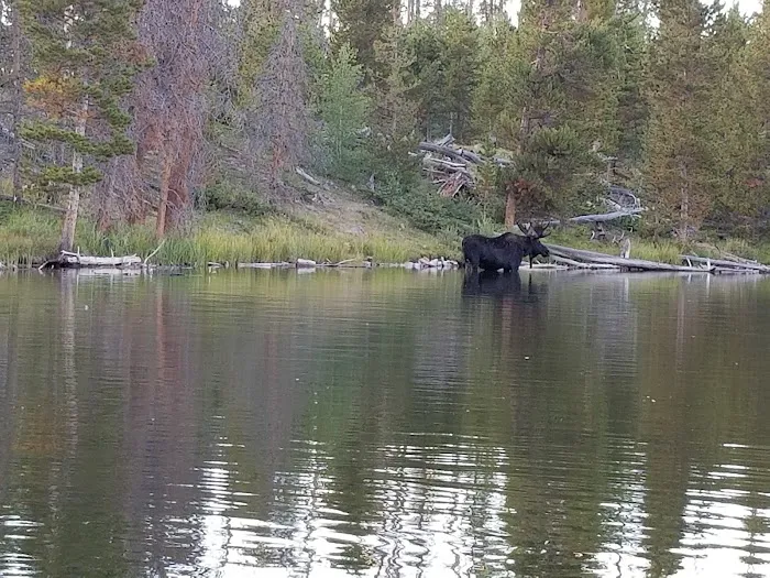 West Marsh Lake Campground 2