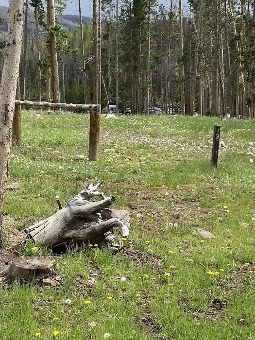 China Meadows Trailhead Campground 5