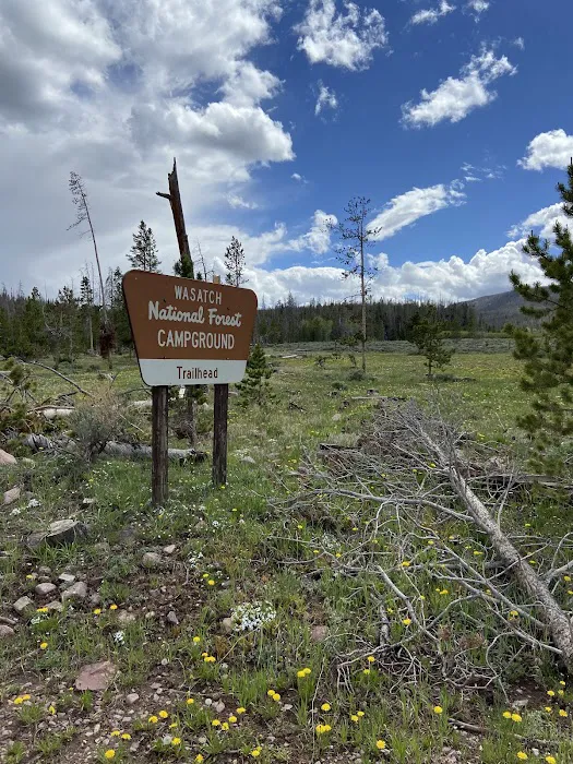 China Meadows Trailhead Campground 0