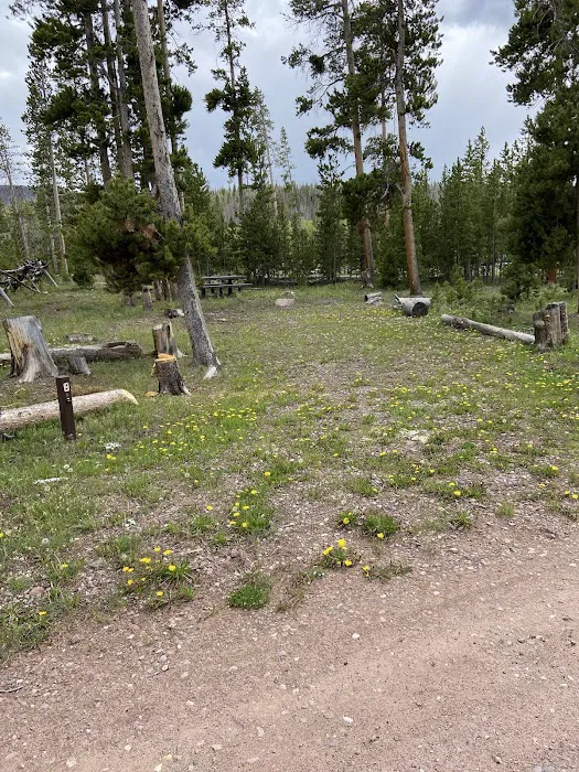 China Meadows Trailhead Campground 2