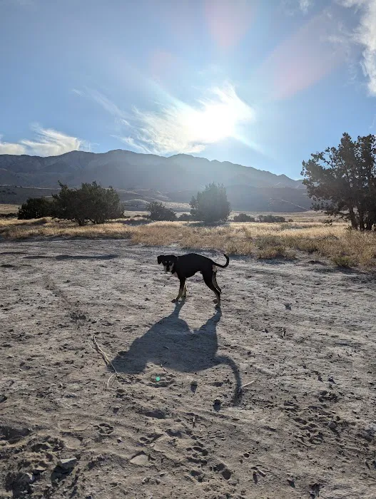 Skull Valley Offroad Camping Area 8