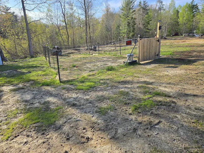 Lone Mountain RV and Campground 8