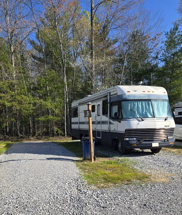 Lone Mountain RV and Campground 7