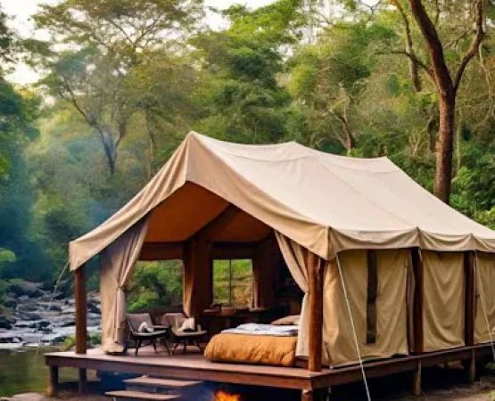 Native Roots Glamping