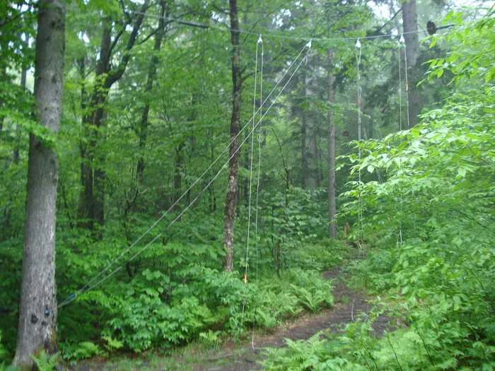 Pecks Corner Shelter 7