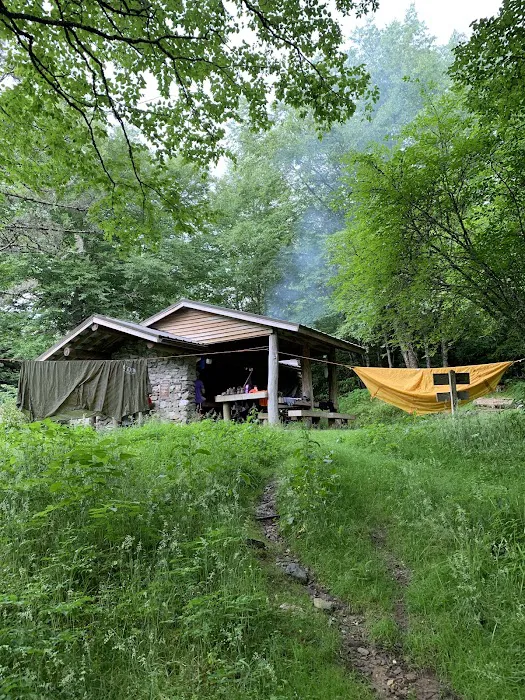 Laurel Gap Shelter 6