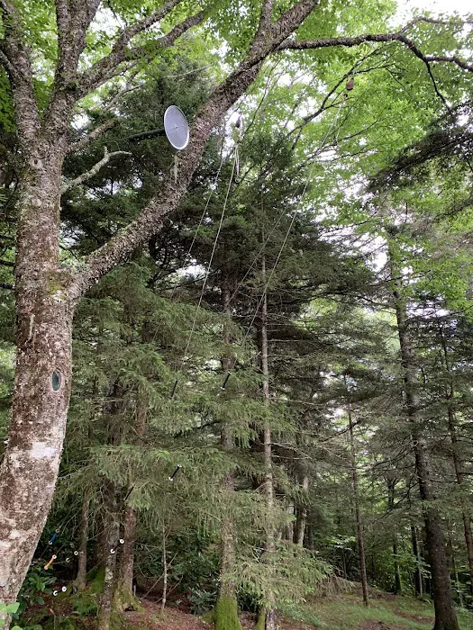 Laurel Gap Shelter 5
