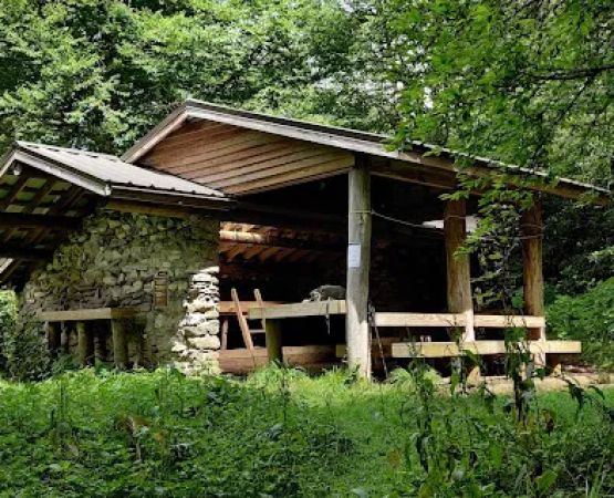 Laurel Gap Shelter