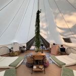 The Owl's Altered Estate