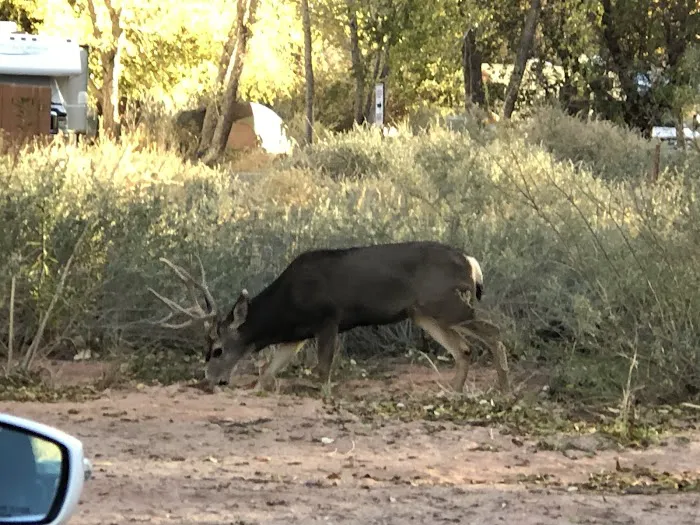 Watchman Campground Site B 9 4