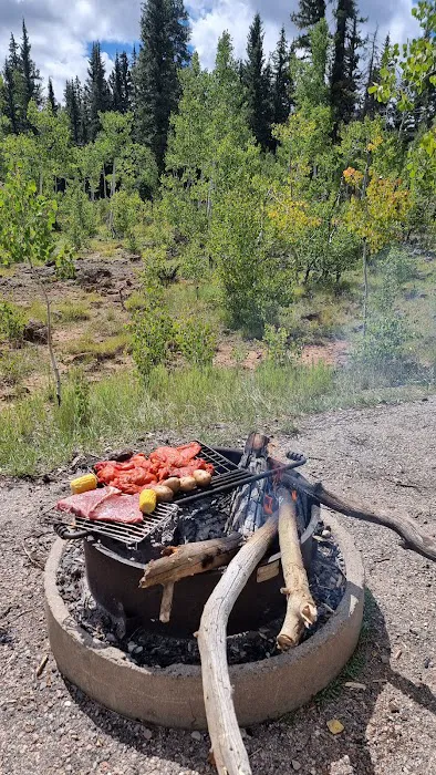 Duck Creek Campground 2