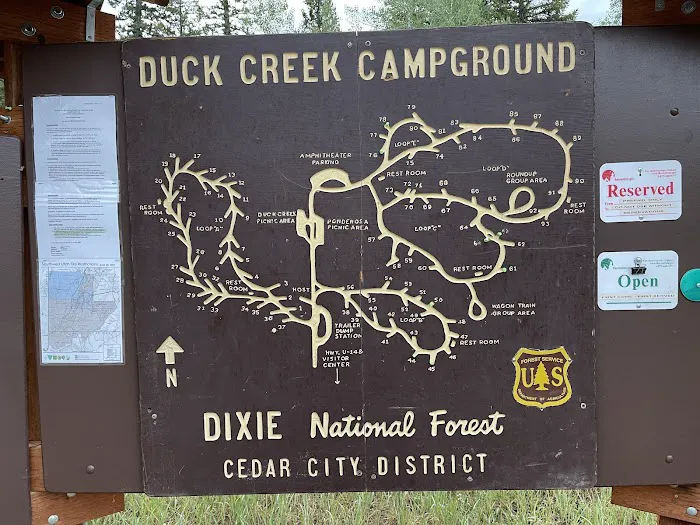 Duck Creek Campground 4