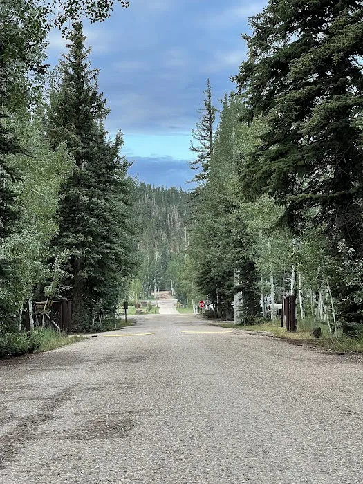 Duck Creek Campground 7