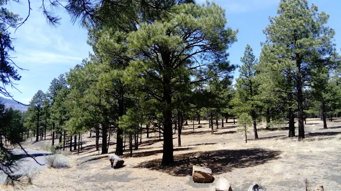 O'Leary Campground PIF 5