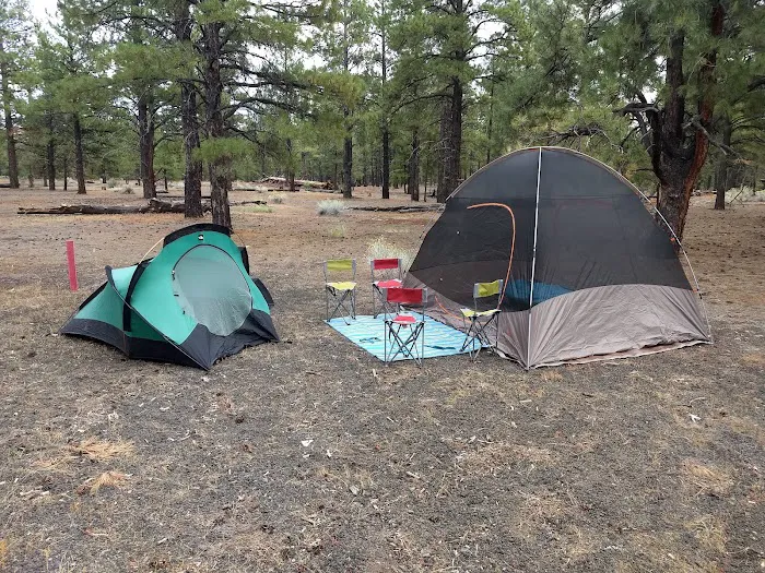 O'Leary Campground PIF 1