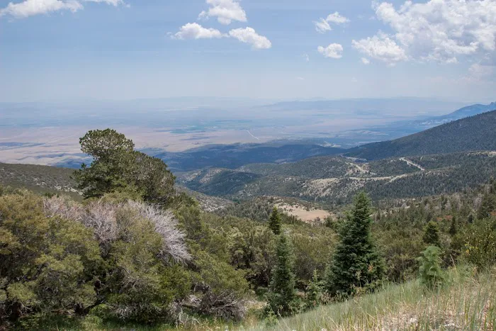 Strawberry Creek Campground 1