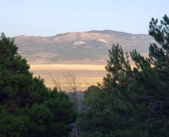 Willow Creek Campground