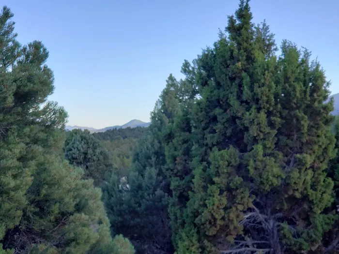 Willow Creek Campground 8