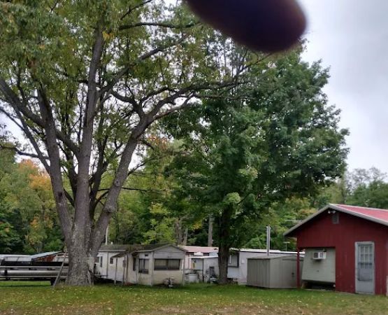 Burton's Trailer Park