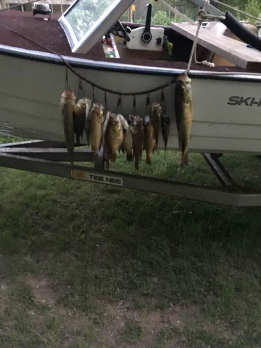 Burton's Trailer Park 3
