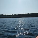 Healy Lake State Forest Campground