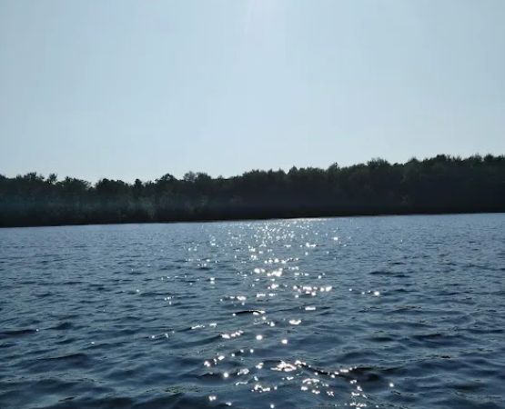 Healy Lake State Forest Campground