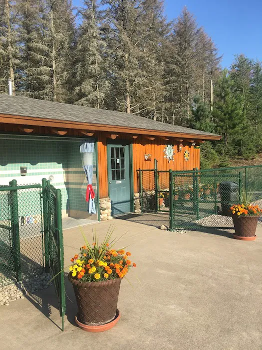 Spruce Hollow Campground 9