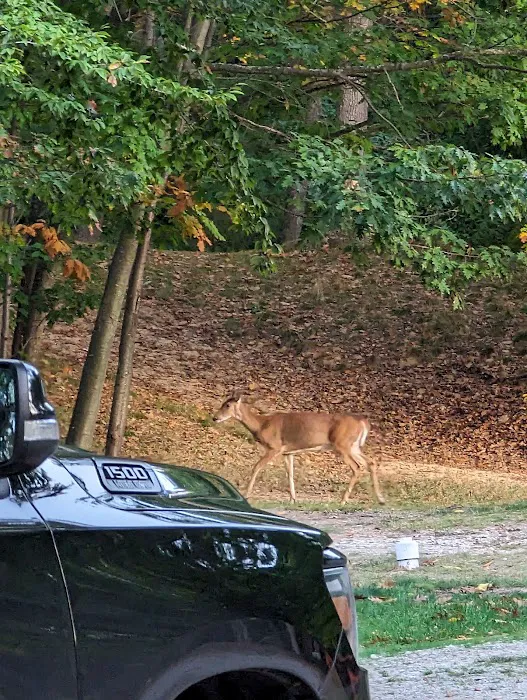 Cartier Park Campground 7