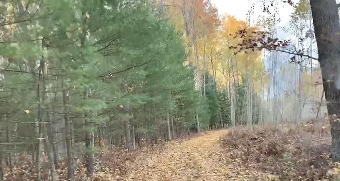 Woodlands Acres Campground 4