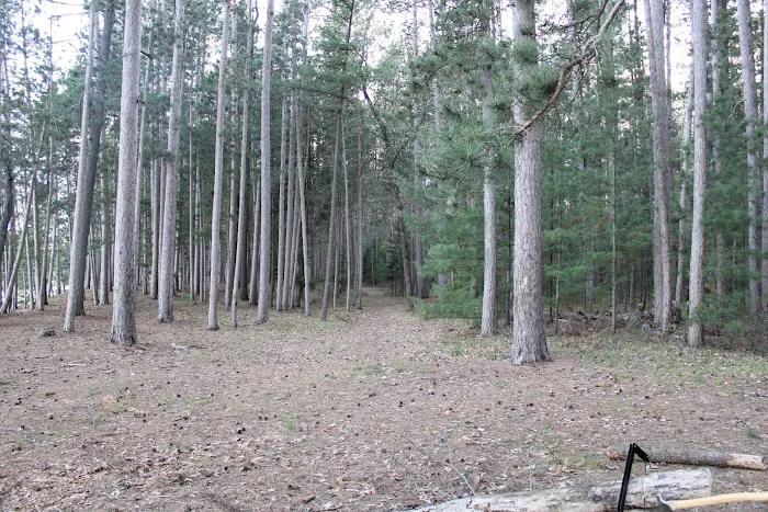 Ausable River Camping,MI Site 022C 3
